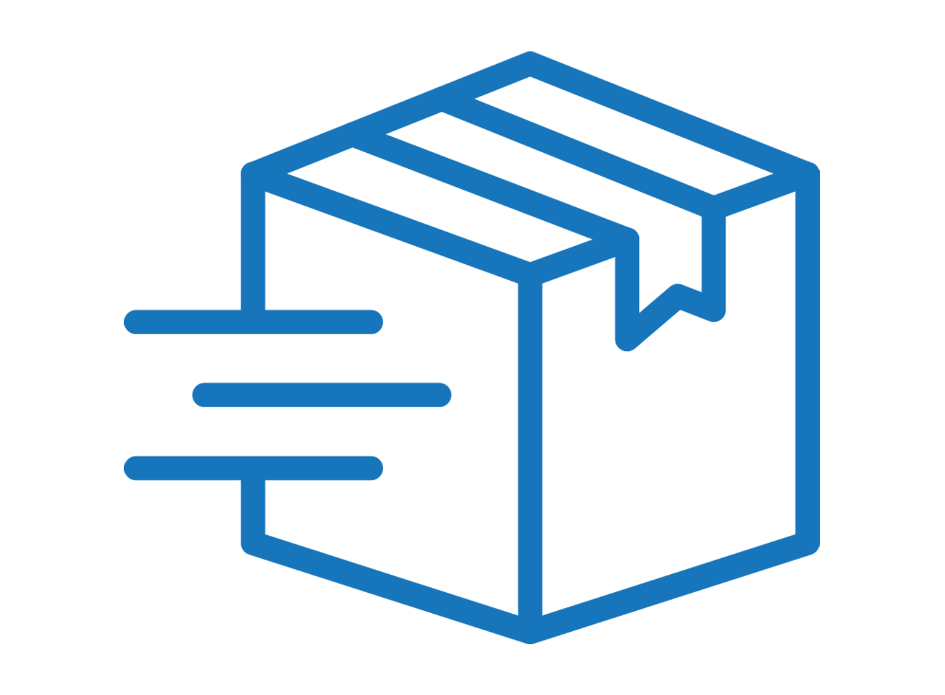 ICON_0000s_0009_ico-domestic-express